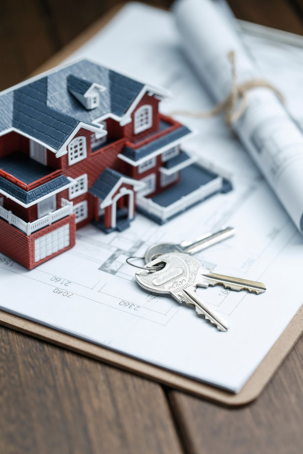 Features of a reverse mortgage: